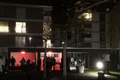 Vortrychlen_2019-026