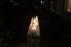 Vortrychlen_2019-048